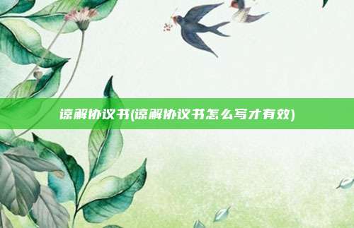 谅解协议书(谅解协议书怎么写才有效)