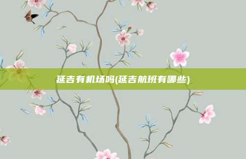 延吉有机场吗(延吉航班有哪些)