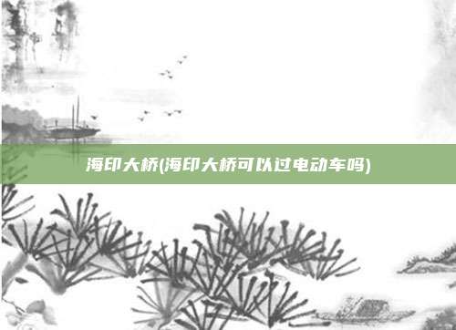 海印大桥(海印大桥可以过电动车吗)