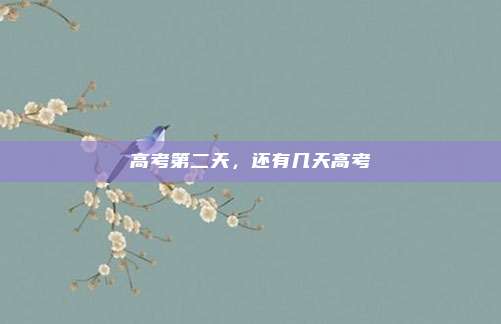 高考第二天,还有几天高考