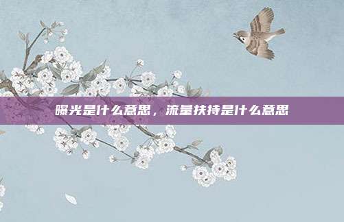 曝光是什么意思，流量扶持是什么意思