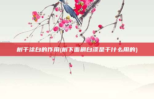 树干涂白的作用(树下面刷白漆是干什么用的)