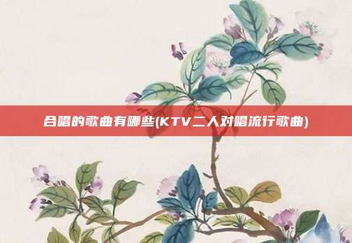 合唱的歌曲有哪些(KTV二人对唱流行歌曲)