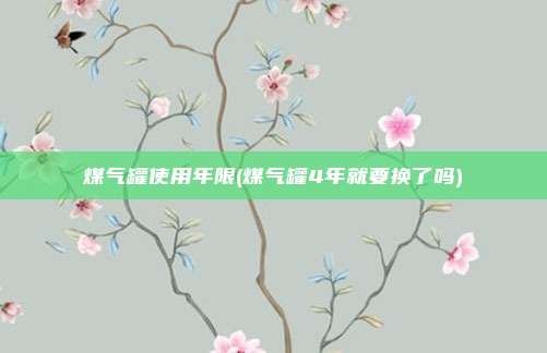 煤气罐使用年限(煤气罐4年就要换了吗)