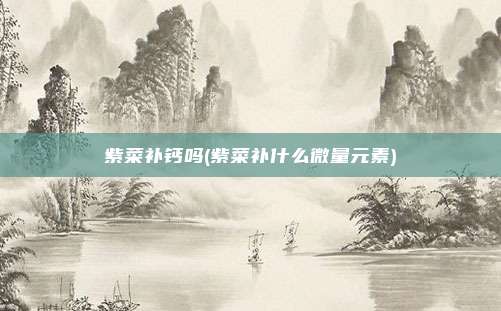 紫菜补钙吗(紫菜补什么微量元素)