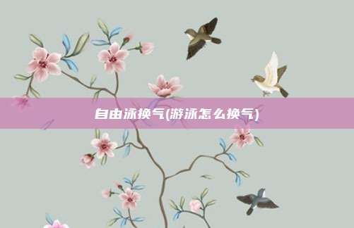 自由泳换气(游泳怎么换气)