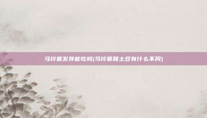 马铃薯发芽能吃吗(马铃薯和土豆有什么不同)