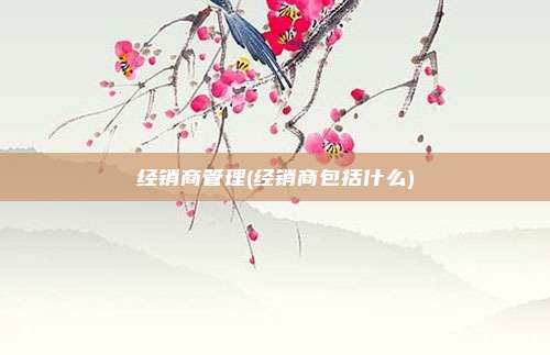 经销商管理(经销商包括什么)