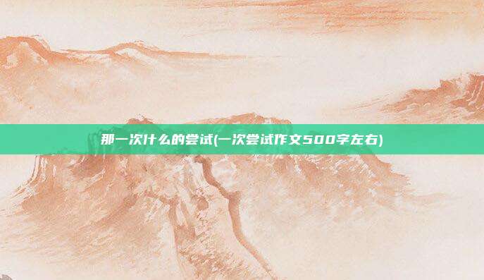 那一次什么的尝试(一次尝试作文500字左右)