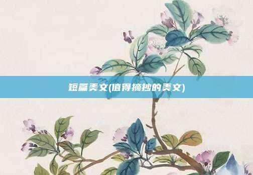 短篇美文(值得摘抄的美文)