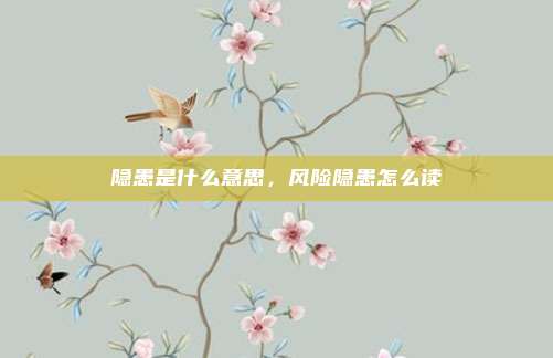 隐患是什么意思，风险隐患怎么读