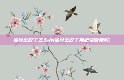被臭虫咬了怎么办(被臭虫咬了用肥皂管用吗)