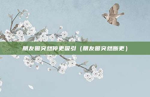 朋友圈突然停更吸引（朋友圈突然断更）