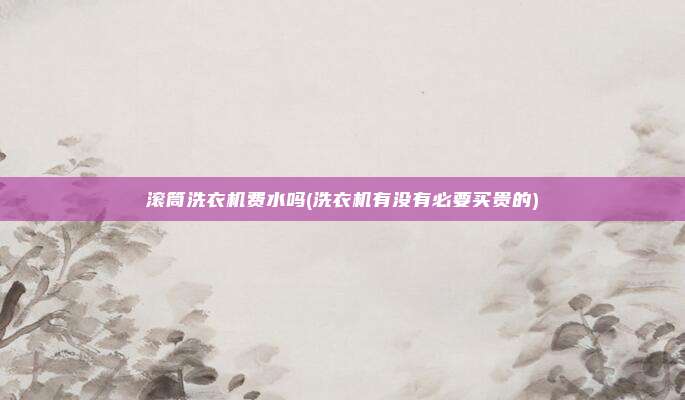 滚筒洗衣机费水吗(洗衣机有没有必要买贵的)