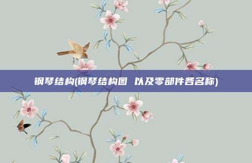钢琴结构(钢琴结构图 以及零部件各名称)