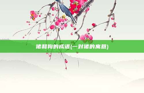 猪和狗的成语(一对猪的寓意)