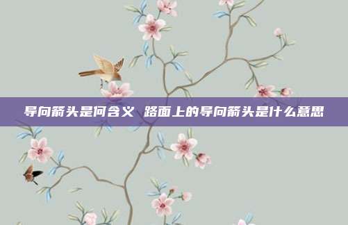 导向箭头是何含义 路面上的导向箭头是什么意思
