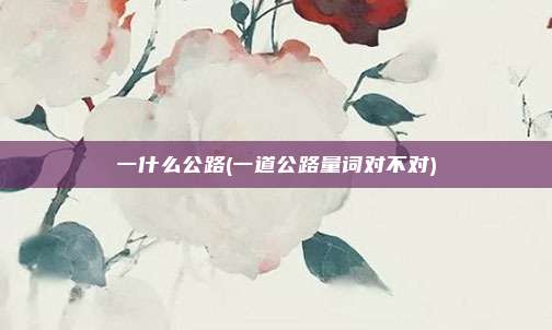 一什么公路(一道公路量词对不对)