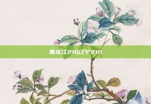 黑龙江211(辽宁211)