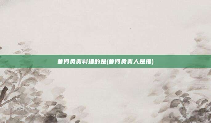 首问负责制指的是(首问负责人是指)