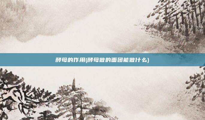 酵母的作用(酵母做的面团能做什么)