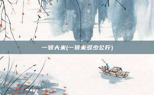 一袋大米(一袋米多少公斤)