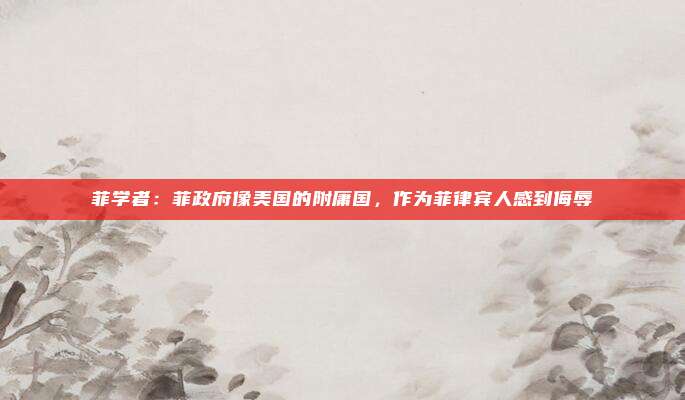 菲学者：菲政府像美国的附庸国，作为菲律宾人感到侮辱