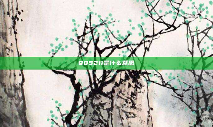 985211是什么意思