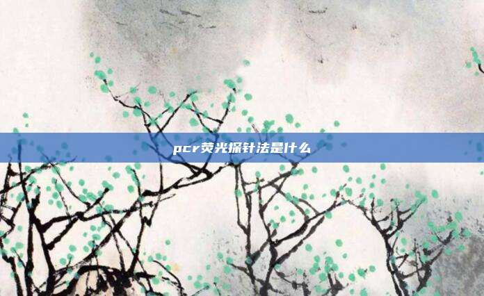 pcr荧光探针法是什么