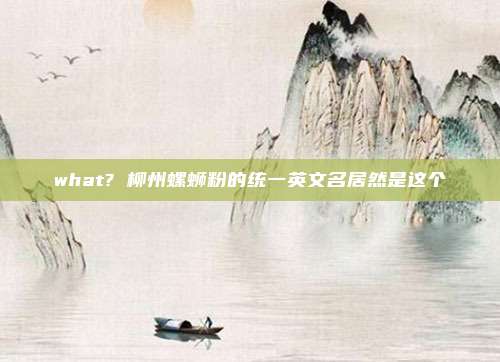 what? 柳州螺蛳粉的统一英文名居然是这个
