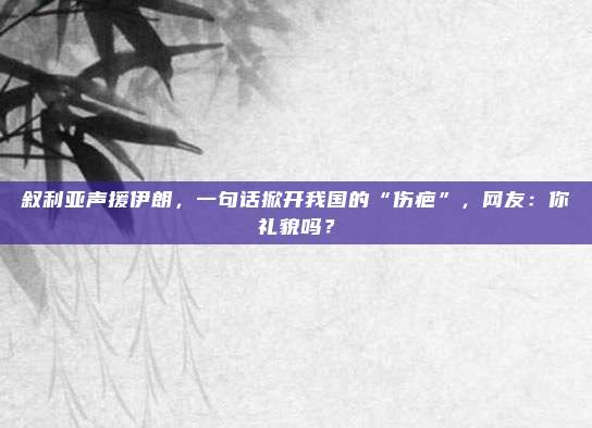 叙利亚声援伊朗，一句话掀开我国的“伤疤”，网友：你礼貌吗？