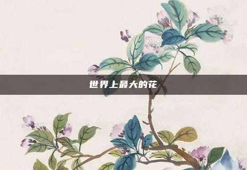 世界上最大的花