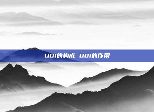 UDI的构成 UDI的作用