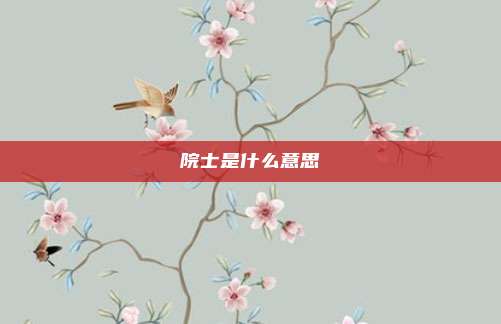 院士是什么意思