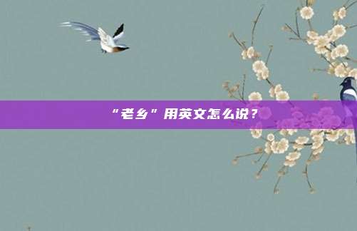“老乡”用英文怎么说？
