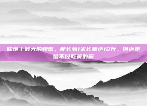 陆地上最大的螃蟹，能长到1米长重达12斤，但还是逃不过吃货的嘴