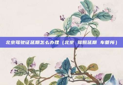 北京驾驶证延期怎么办理（北京 驾照延期 车管所）