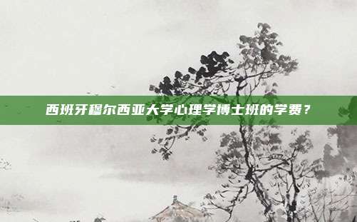 西班牙穆尔西亚大学心理学博士班的学费？