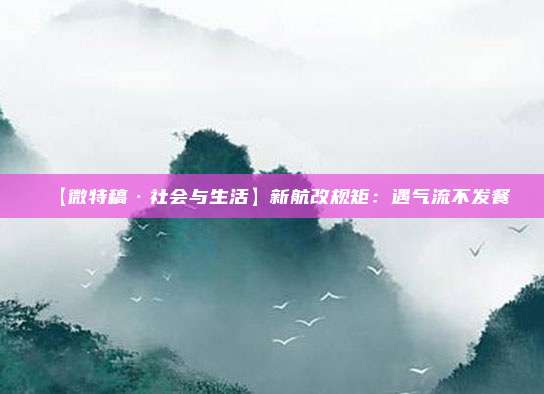 【微特稿·社会与生活】新航改规矩：遇气流不发餐