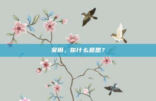 吴用，你什么意思？