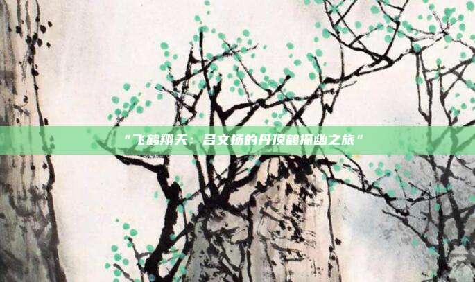 “飞鹤翔天：吕文扬的丹顶鹤探幽之旅”