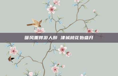 暖风熏得游人醉 津城桃花始盛开
