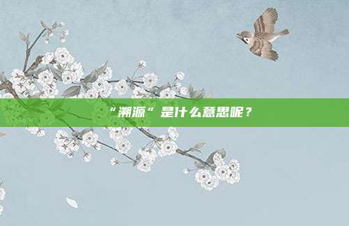 “溯源”是什么意思呢？