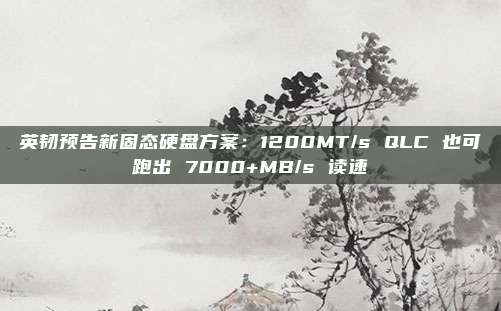 英韧预告新固态硬盘方案：1200MT/s QLC 也可跑出 7000+MB/s 读速