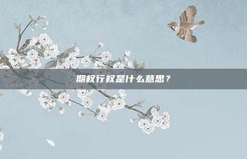 期权行权是什么意思？