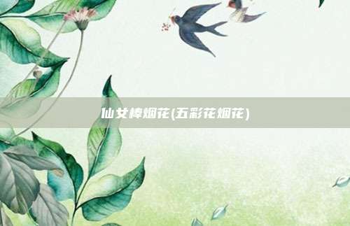 仙女棒烟花(五彩花烟花)