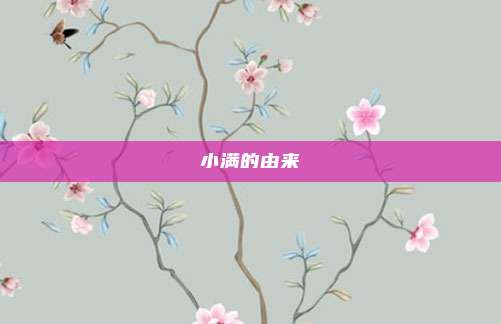小满的由来