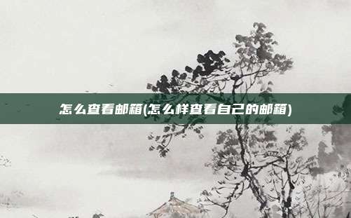 怎么查看邮箱(怎么样查看自己的邮箱)