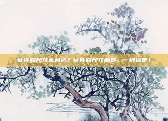 证件照尺寸不合适？证件照尺寸调整，一键搞定！