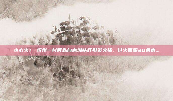小心火！​忻州一村民私自点燃秸秆引发火情，过火面积30余亩...